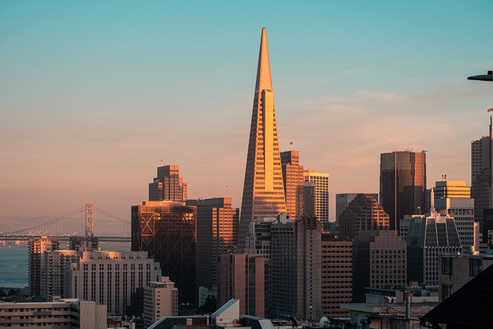 Marketing agency in California for startups